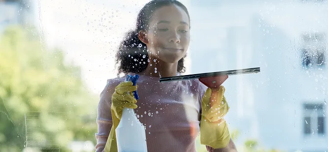 Exterior Window Cleaning